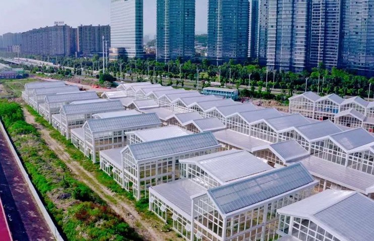 福建建新花卉產業園