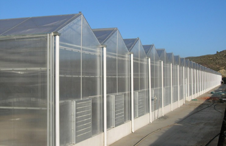 定西市馬鈴薯研究所養殖基地