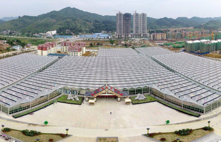 貴州畢節恒大扶貧項目生態農業溫室項目