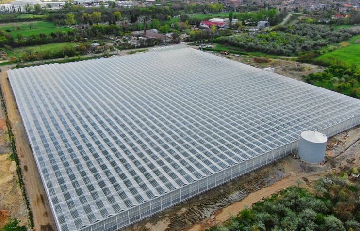 江蘇泰州花卉博覽園