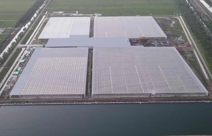 中荷農業創新園崇明現代農業園區